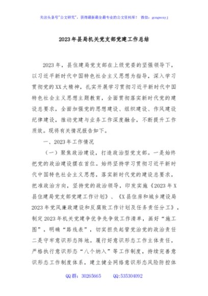 2023年县局机关党支部党建工作总结