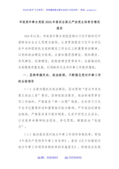 市政府外事办党组2024年落实全面从严治党主体责任情况报告