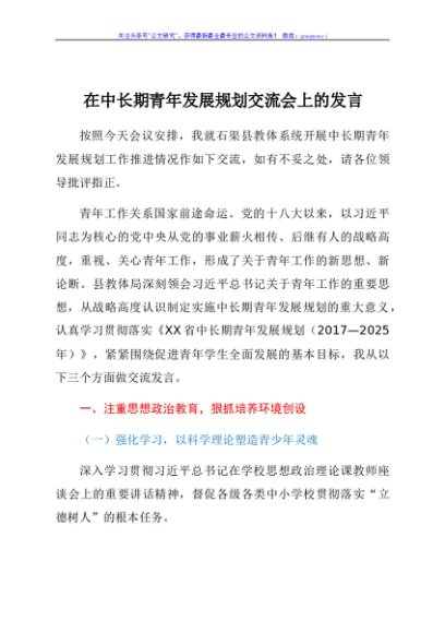 在中长期青年发展规划交流会上的发言