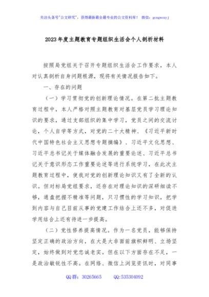 2023年度主题教育专题组织生活会个人剖析材料