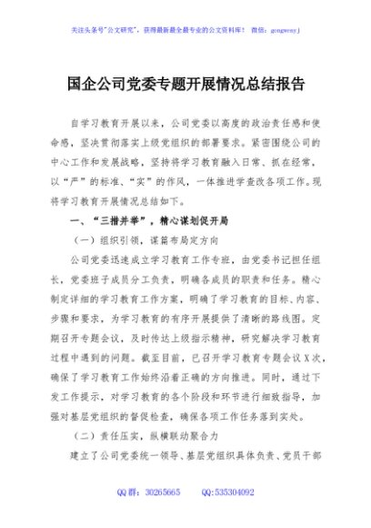 国企公司党委专题开展情况总结报告