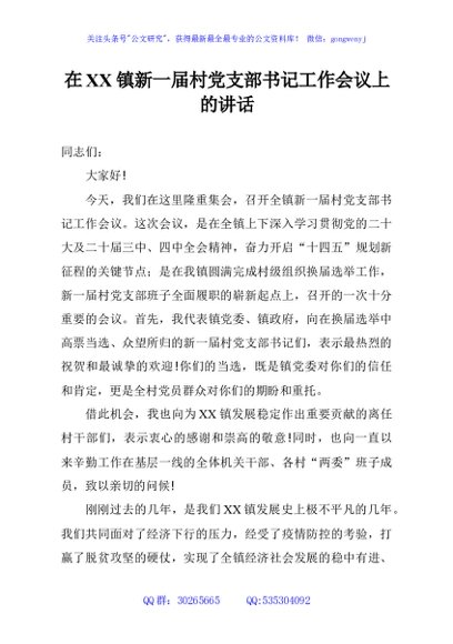 在XX镇新一届村党支部书记工作会议上的讲话