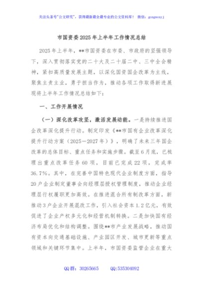 市国资委2025年上半年工作情况总结