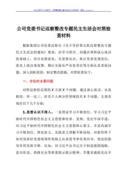 公司党委书记巡察整改专题民主生活会对照检查材料