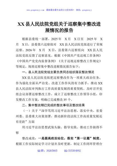 XX县人民法院党组关于巡察集中整改进展情况的报告