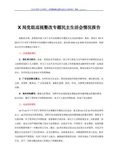 X局党组巡视整改专题民主生活会情况报告