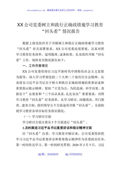 XX公司党委树立和践行正确政绩观学习教育“回头看”情况报告