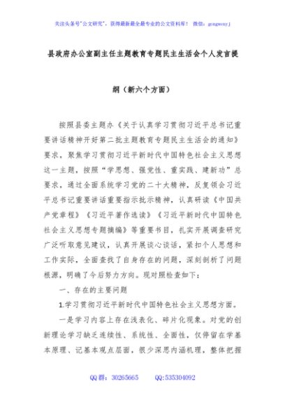 县政府办公室副主任主题教育专题民主生活会个人发言提纲（新六个方面）