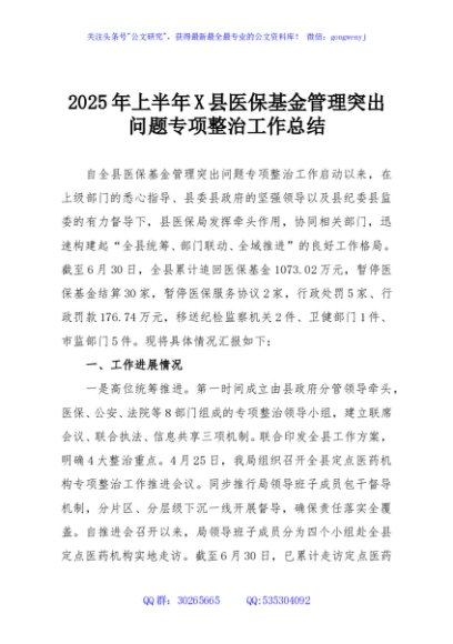 2025年上半年X县医保基金管理突出问题专项整治工作总结