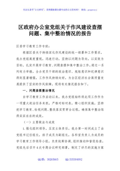 区政府办公室党组关于作风建设查摆问题、集中整治情况的报告