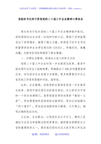 党组织书记学习贯彻党的二十届三中全会精神心得体会