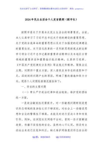 2024年民主生活会个人发言提纲（副市长）