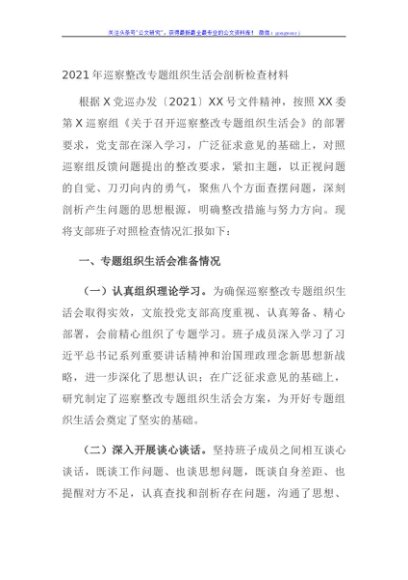 2021年巡察整改专题组织生活会剖析检查材料