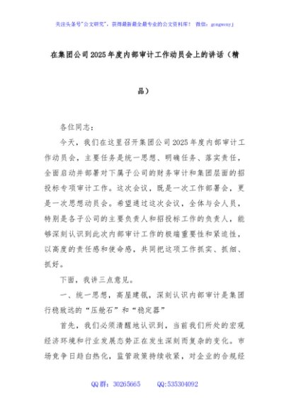 在集团公司2025年度内部审计工作动员会上的讲话（精品）