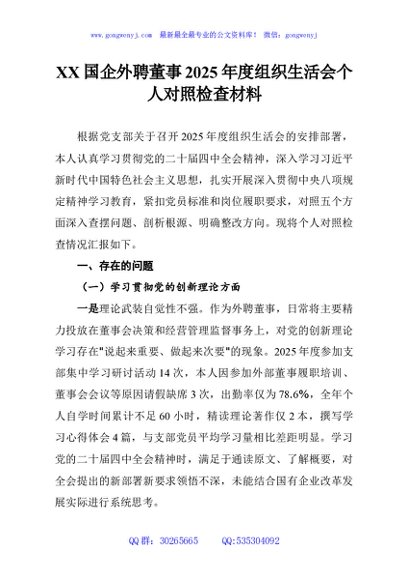 XX国企外聘董事2025年度组织生活会个人对照检查材料