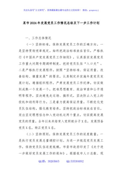 某市2024年发展党员工作情况总结及下一步工作计划