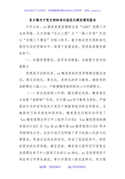 某乡镇关于党支部标准化规范化建设情况报告