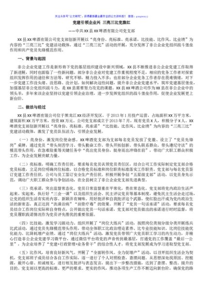 党建引领企业兴 三亮三比党旗红 ——中共XX县XX啤酒有限公司党支部