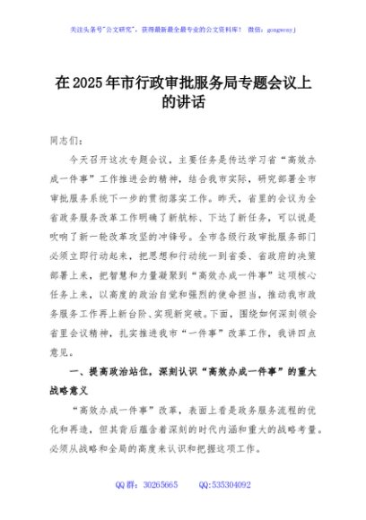 在2025年市行政审批服务局专题会议上的讲话
