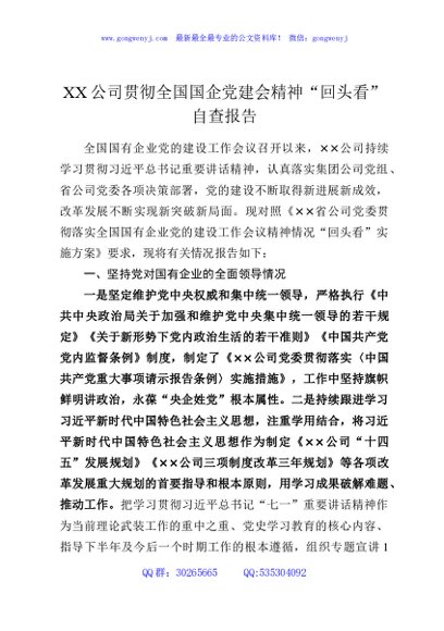 XX公司贯彻全国国企党建会精神“回头看”自查报告