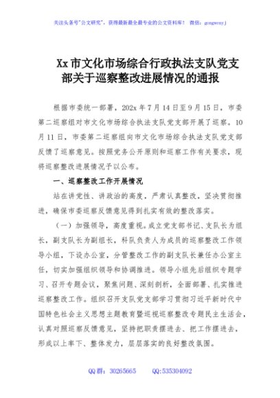 Xx市文化市场综合行政执法支队党支部关于巡察整改进展情况的通报