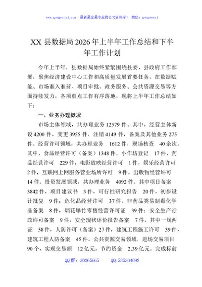 XX县数据局2026年上半年工作总结和下半年工作计划