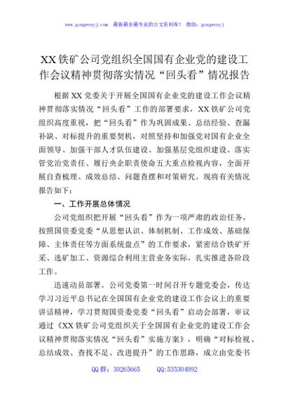 XX铁矿公司党组织全国国有企业党的建设工作会议精神贯彻落实情况“回头看”情况报告3