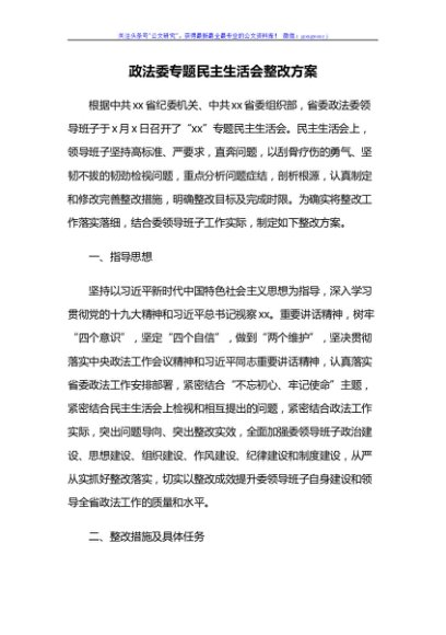 政法委专题民主生活会整改方案