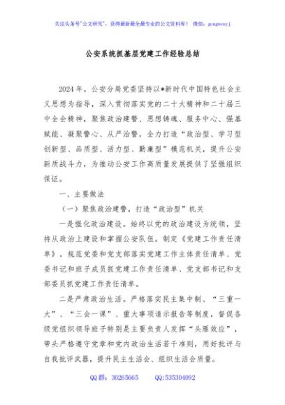 公安系统抓基层党建工作经验总结