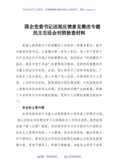 国企党委书记巡视反馈意见整改专题民主生活会对照检查材料