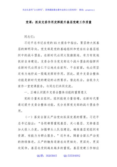 党课：抓实支委作用发挥提升基层党建工作质量