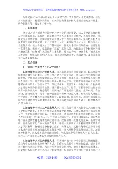 2022年X区推进乡村人才振兴工作计划