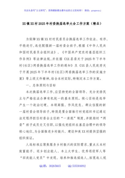 XX镇XX村2025年村委换届选举大会工作方案（精品）