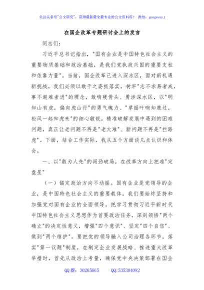 在国企改革专题研讨会上的发言