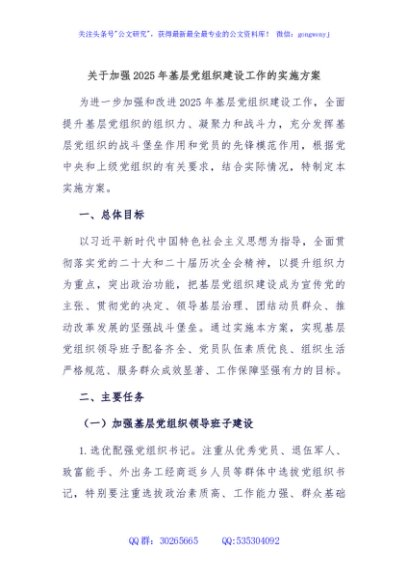 关于加强2025年基层党组织建设工作的实施方案