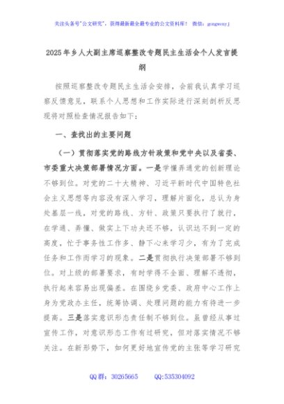 2025年乡人大副主席巡察整改专题民主生活会个人发言提纲