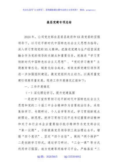 基层党建专项总结
