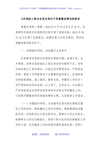 X区残疾人联合会党支部关于巡察整改情况的报告