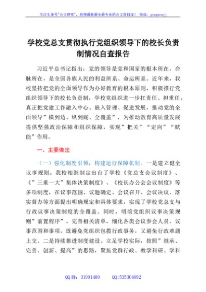 学校党总支贯彻执行党组织领导下的校长负责制情况自查报告
