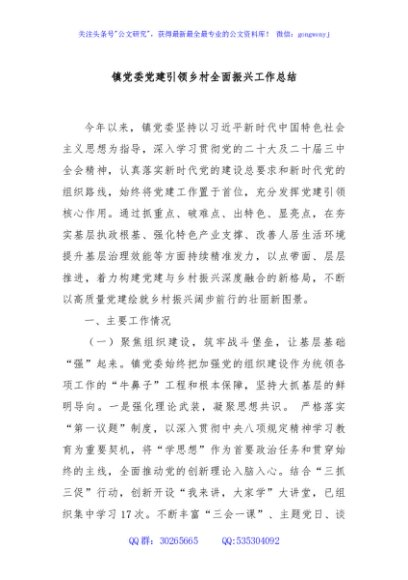 镇党委党建引领乡村全面振兴工作总结