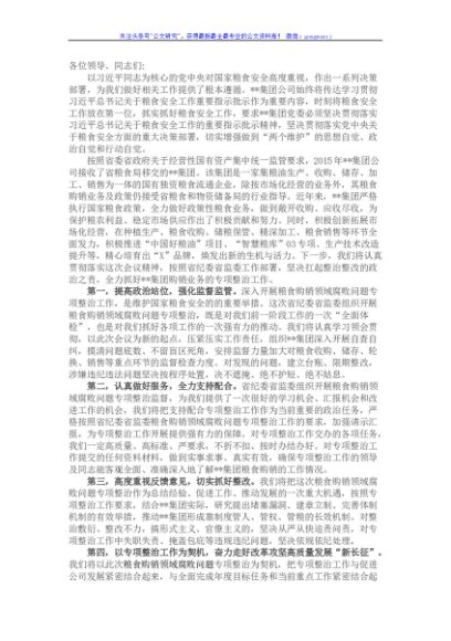 国企在全省粮食购销领域腐败问题专项整治工作动员会部署电视电话会议上的发言（集团公司）