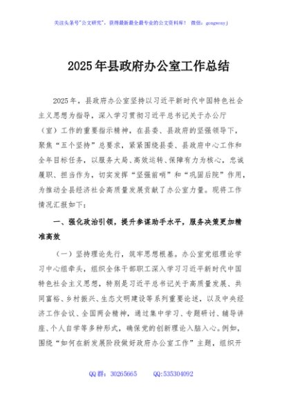 2025年县政府办公室工作总结
