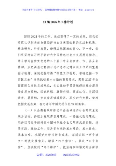 XX镇2025年工作计划
