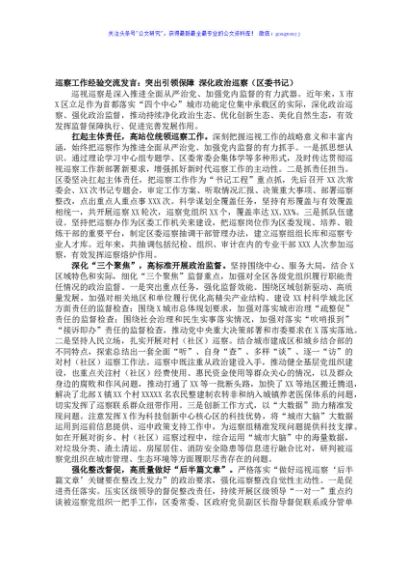 巡察工作经验交流发言：突出引领保障 深化政治巡察（区委书记）