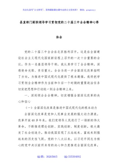 县直部门副职领导学习贯彻党的二十届三中全会精神心得体会