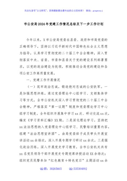 市公安局2024年党建工作情况总结及下一步工作计划