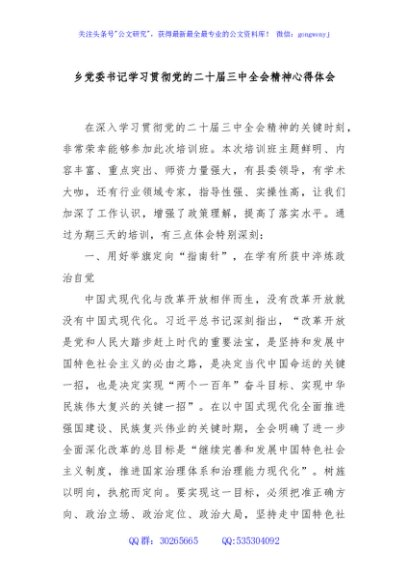 乡党委书记学习贯彻党的二十届三中全会精神心得体会