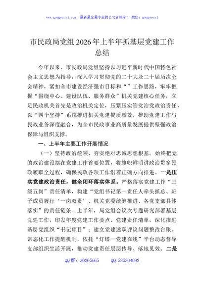 市民政局党组2026年上半年抓基层党建工作总结