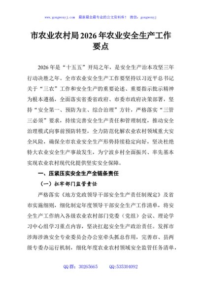 市农业农村局2026年农业安全生产工作要点