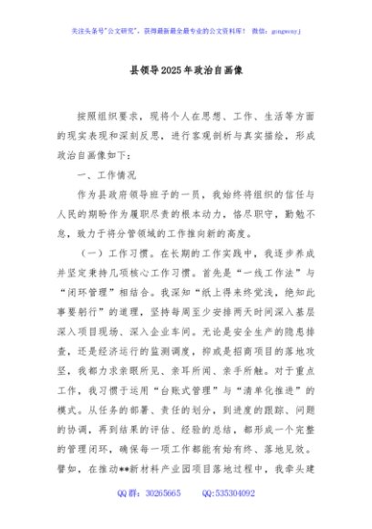 县领导2025年政治自画像